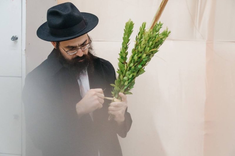 לוי נאזרוב