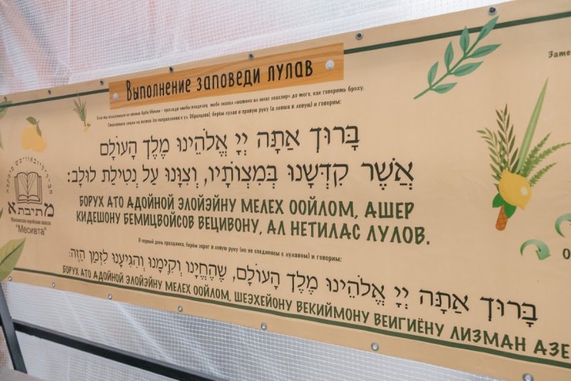 לוי נאזרוב