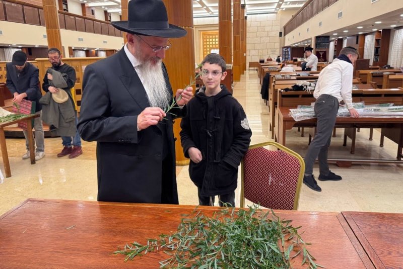 לוי נאזרוב