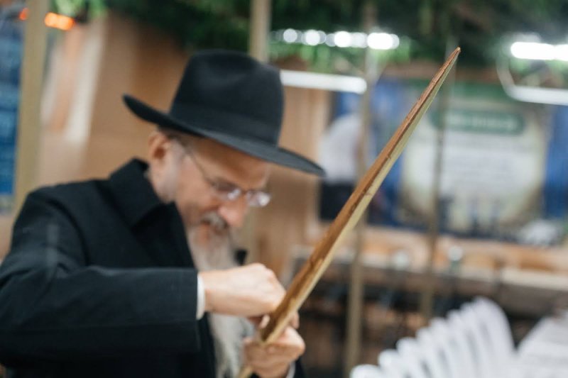 לוי נאזרוב