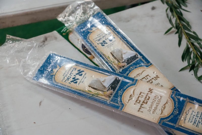 לוי נאזרוב
