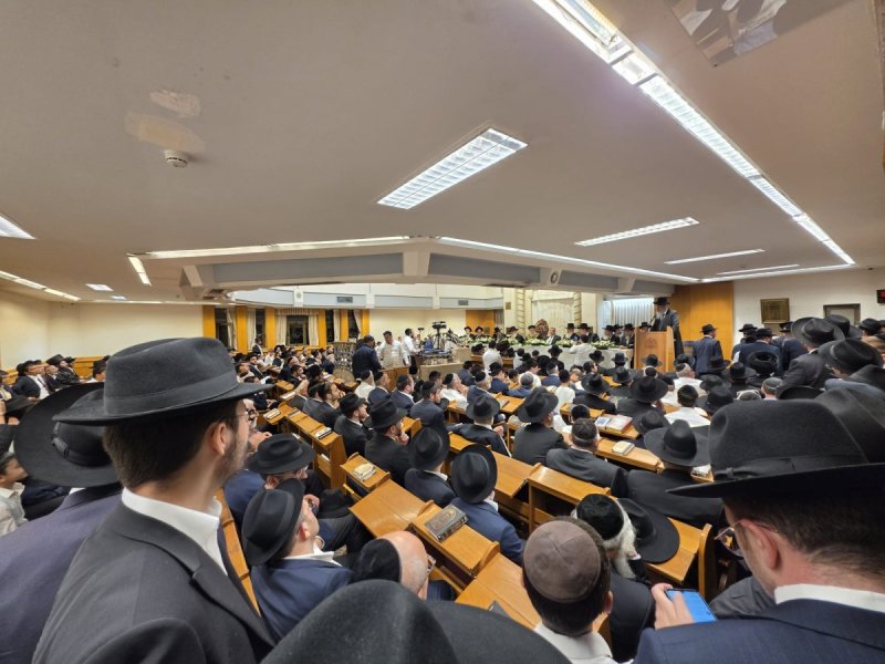 דניאל נפוסי