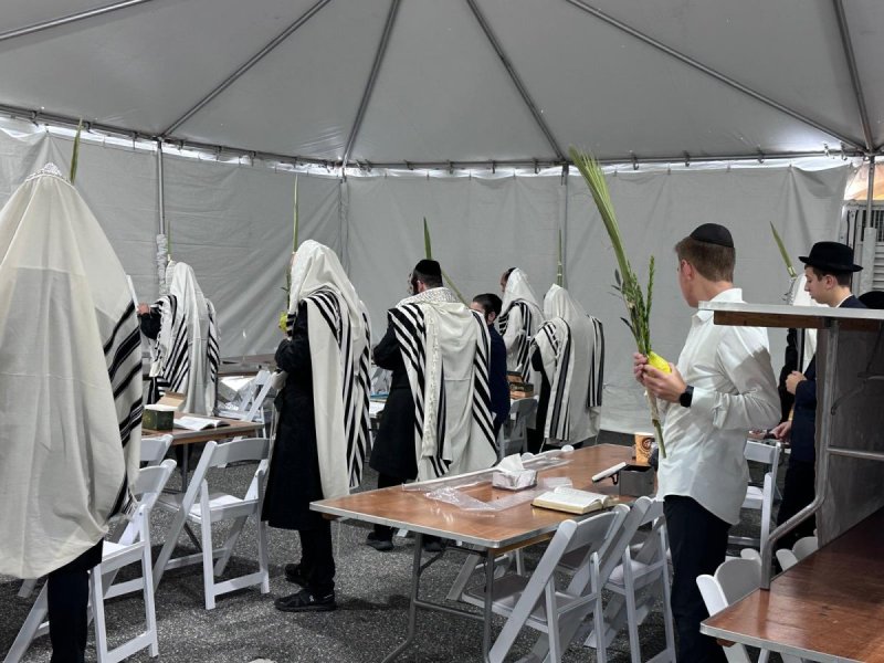 באדיבות המצלם