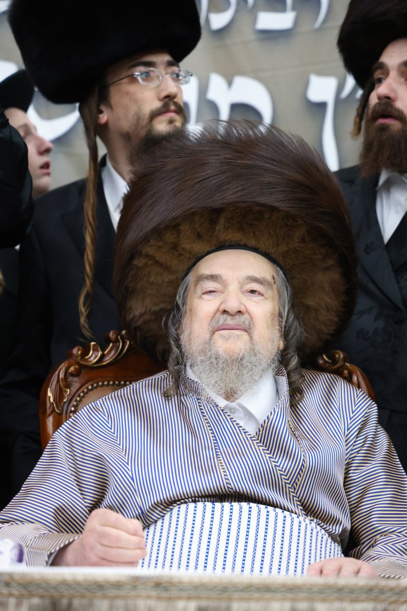 דוד ארזני