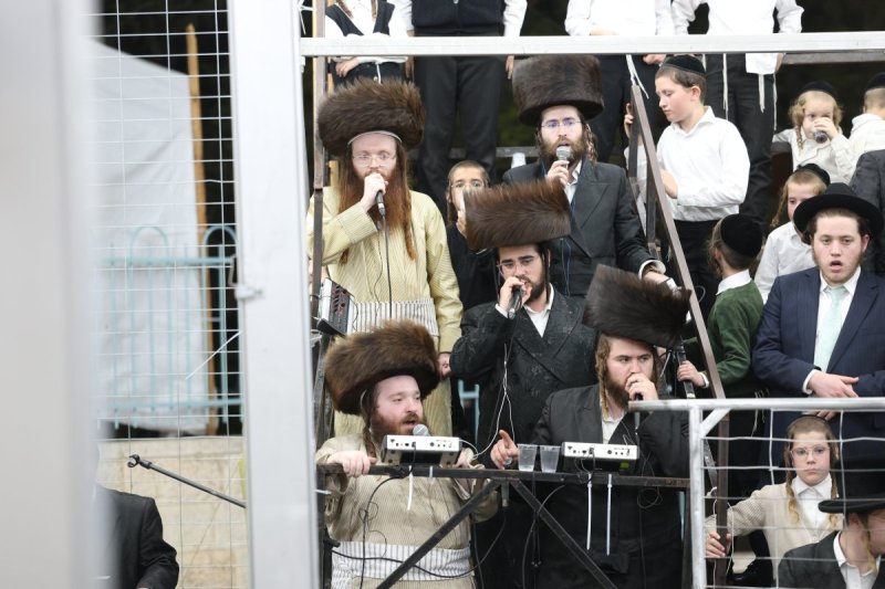 דוד ארזני