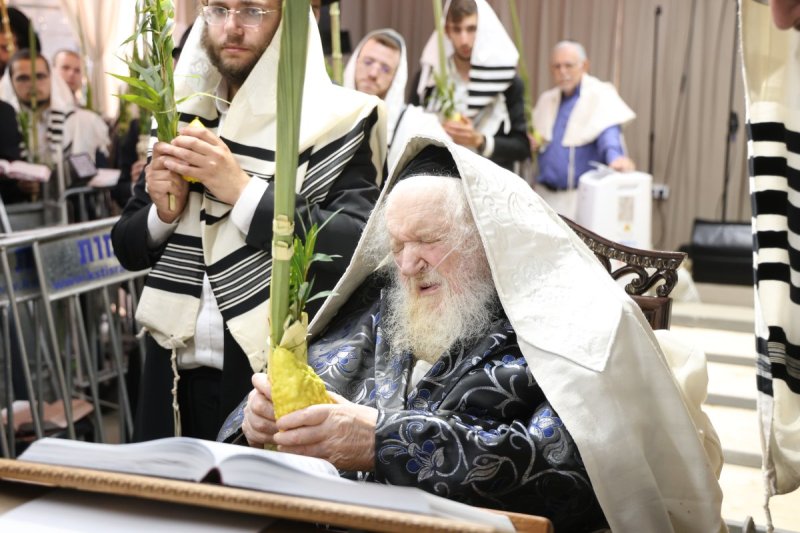 דוד ארזני