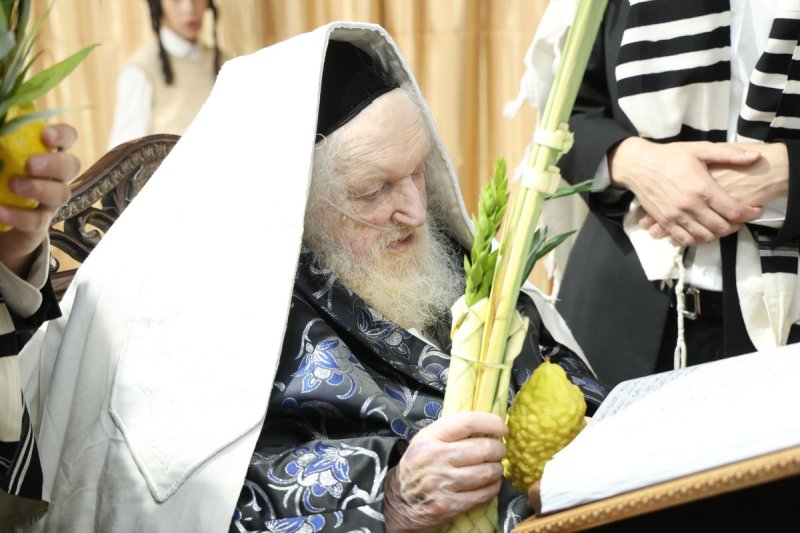 דוד ארזני