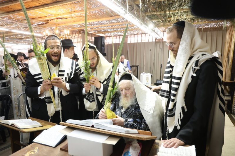 דוד ארזני
