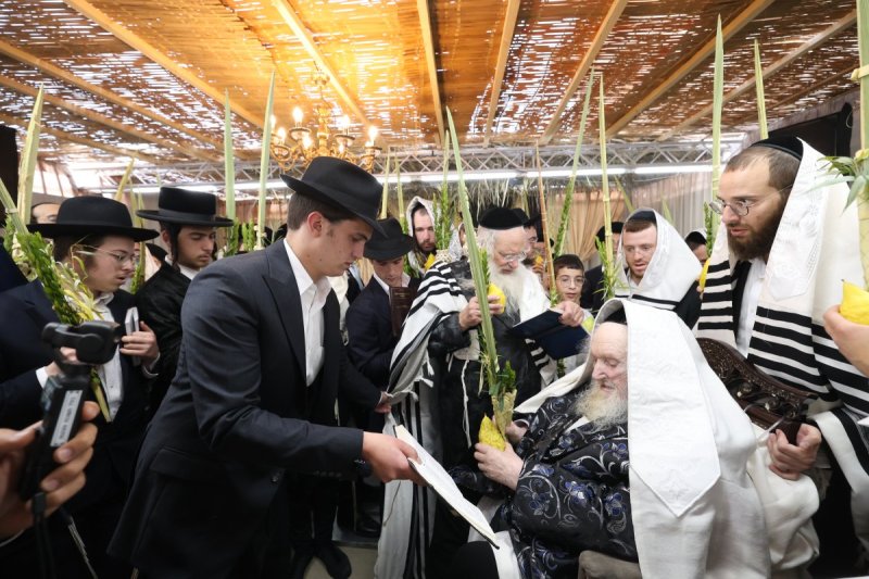 דוד ארזני