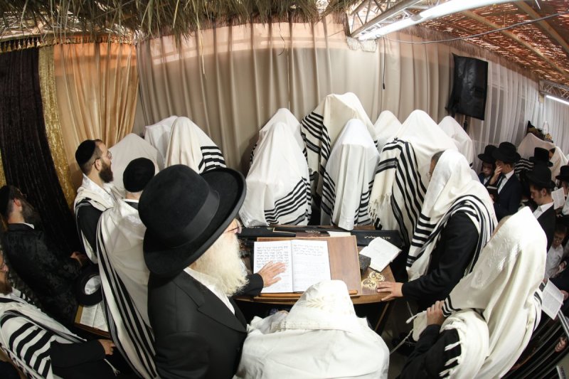 דוד ארזני