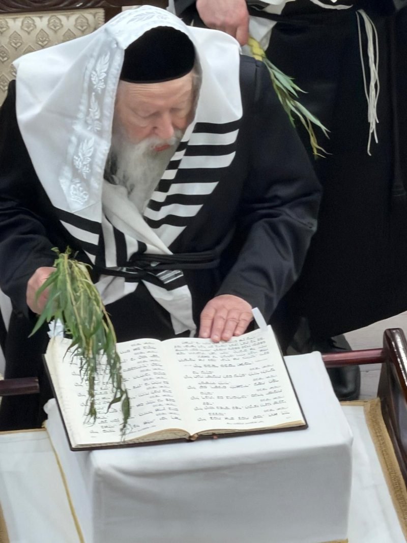 באדיבות המצלם