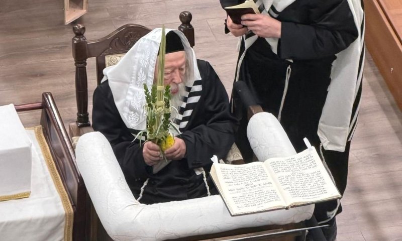 התרגשות גדולה בחסידות גור: האדמו"ר יצא לתפילה בהושענא רבה