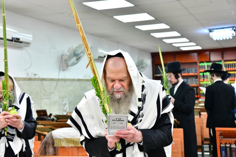 שוקי לרר