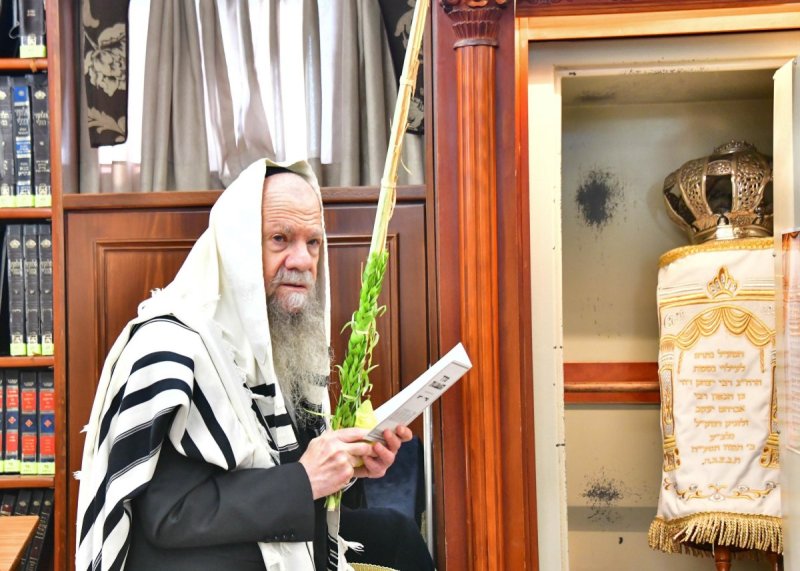 שוקי לרר