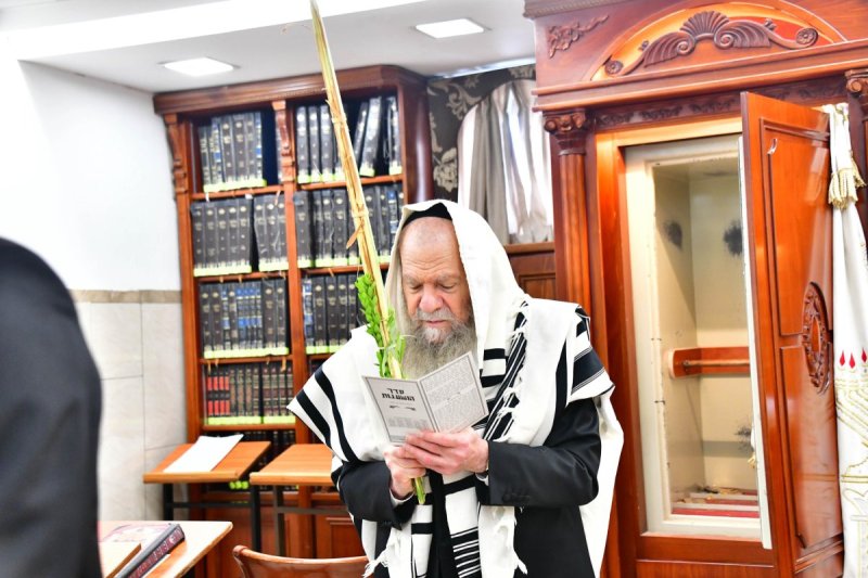 שוקי לרר