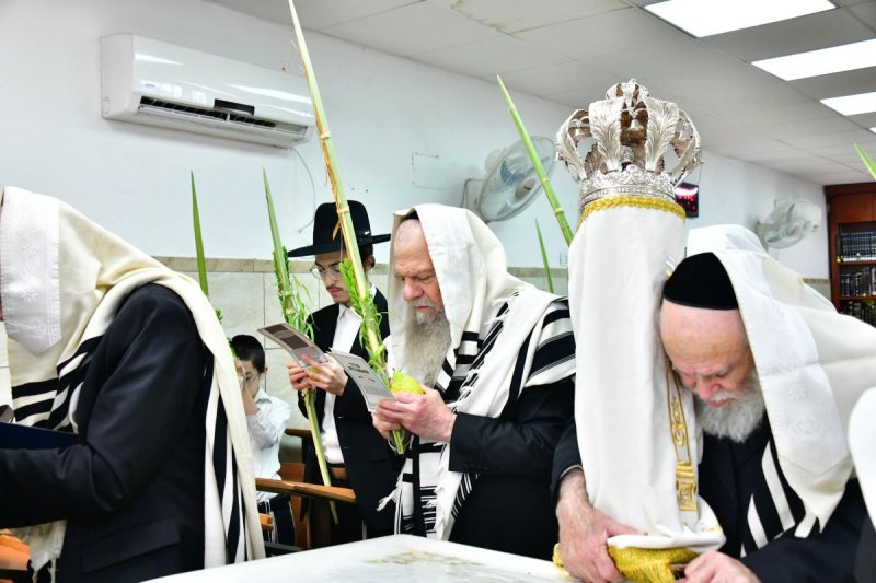 שוקי לרר