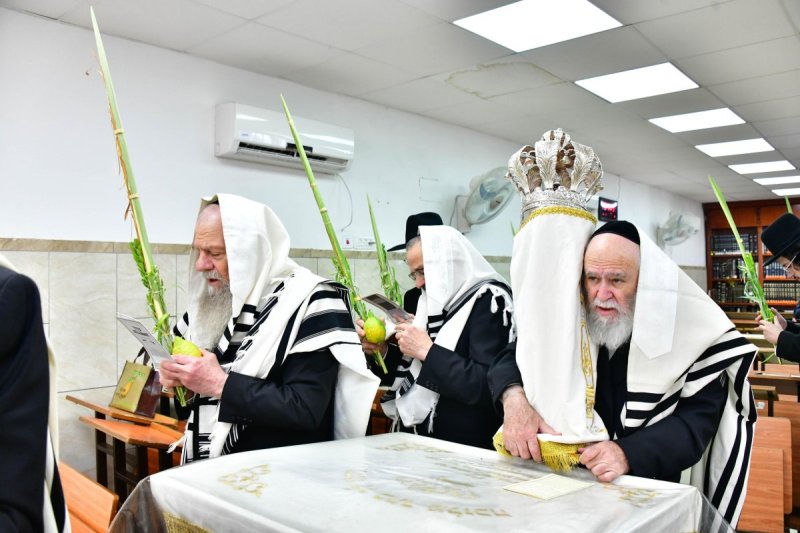 שוקי לרר