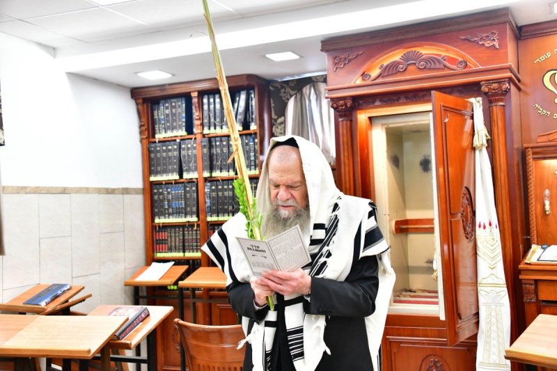 שוקי לרר