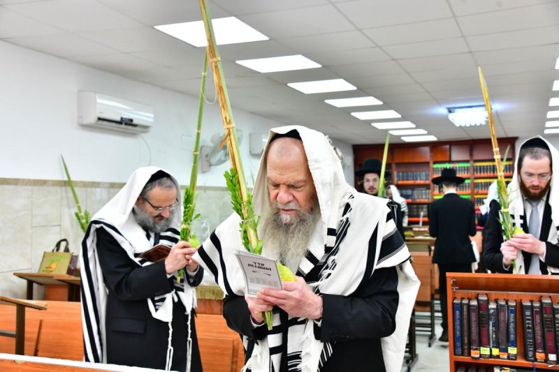 שוקי לרר