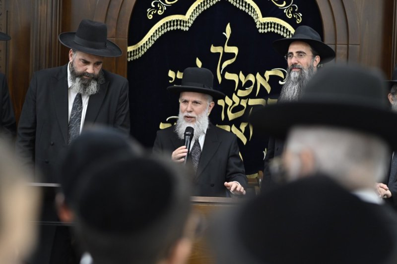 רן אילוז