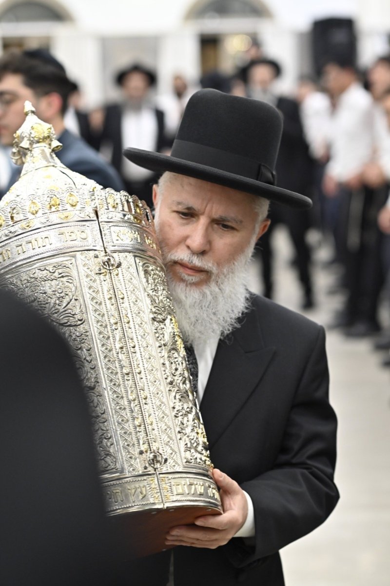 רן אילוז