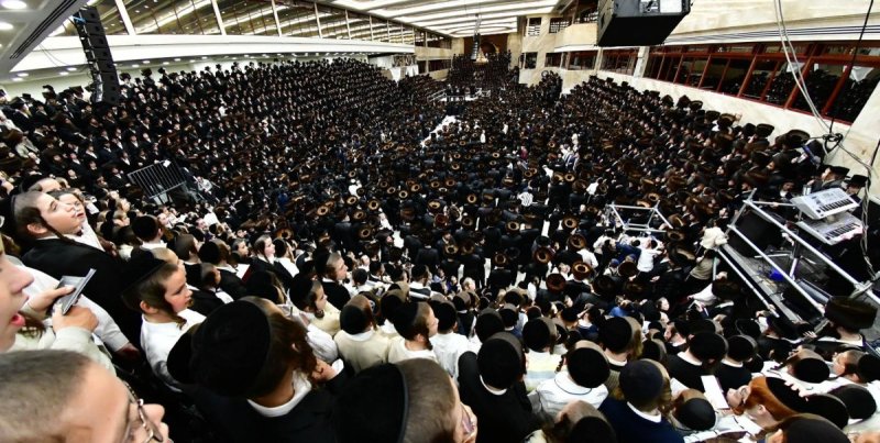 שוקי לרר