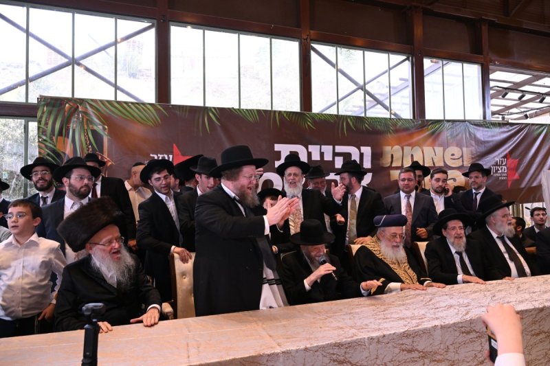 ליפא מוזר