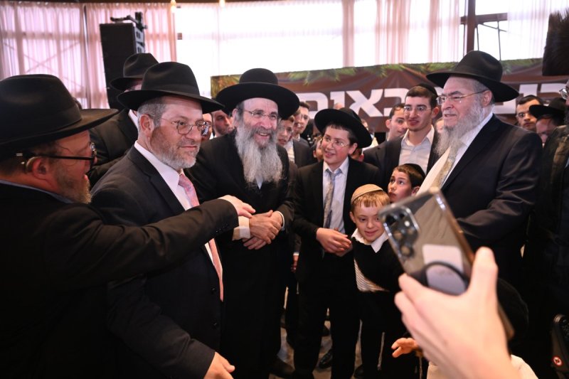 ליפא מוזר