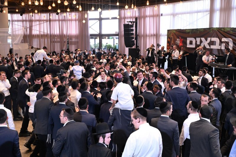 ליפא מוזר