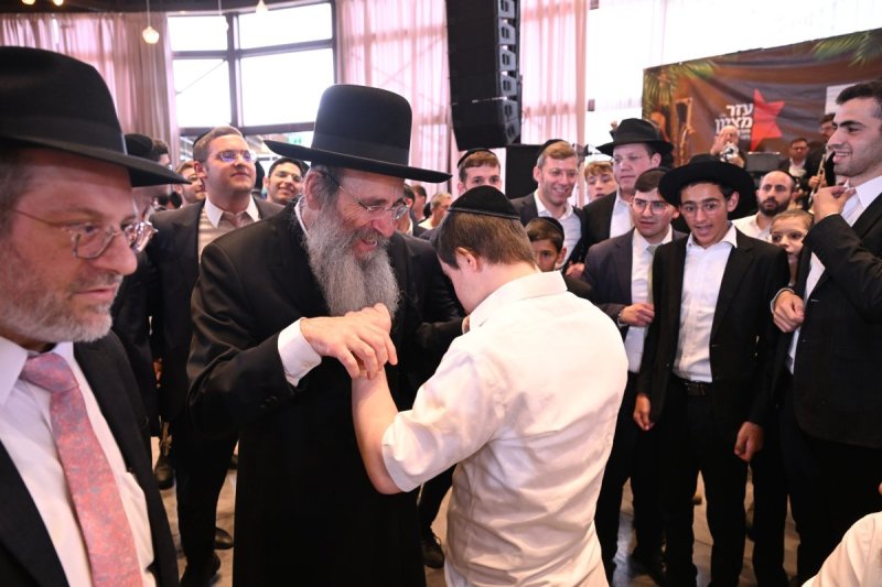 ליפא מוזר