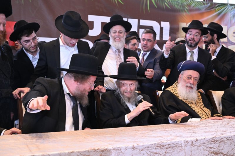 ליפא מוזר