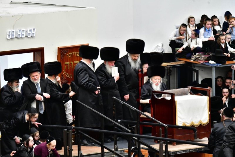 שוקי לרר