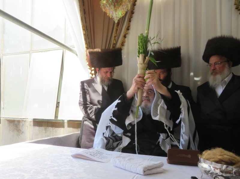 שוקי לרר