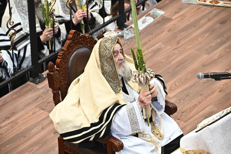 שוקי לרר