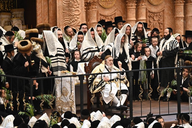 שוקי לרר