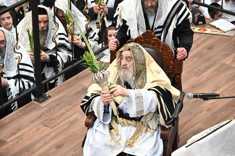 שוקי לרר