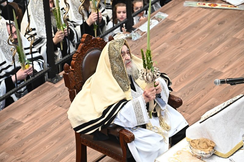 שוקי לרר