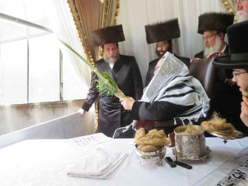 שוקי לרר