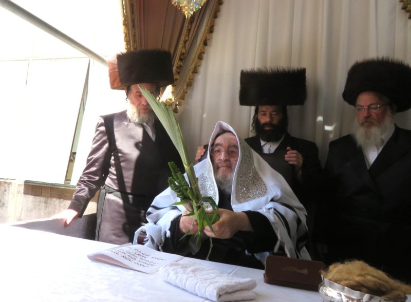 שוקי לרר