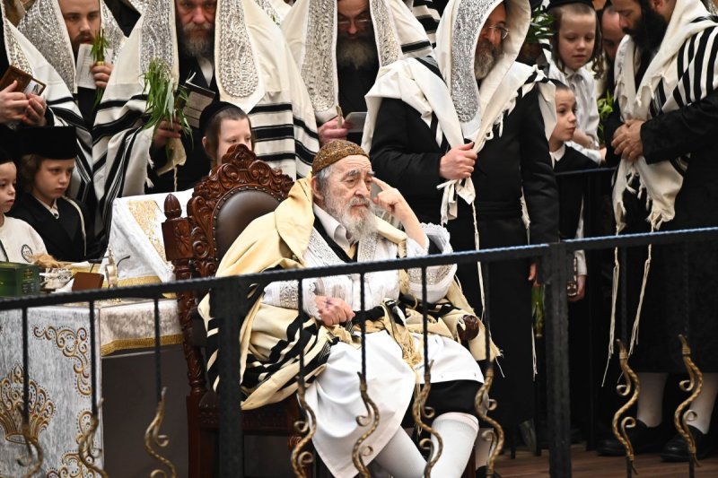 שוקי לרר