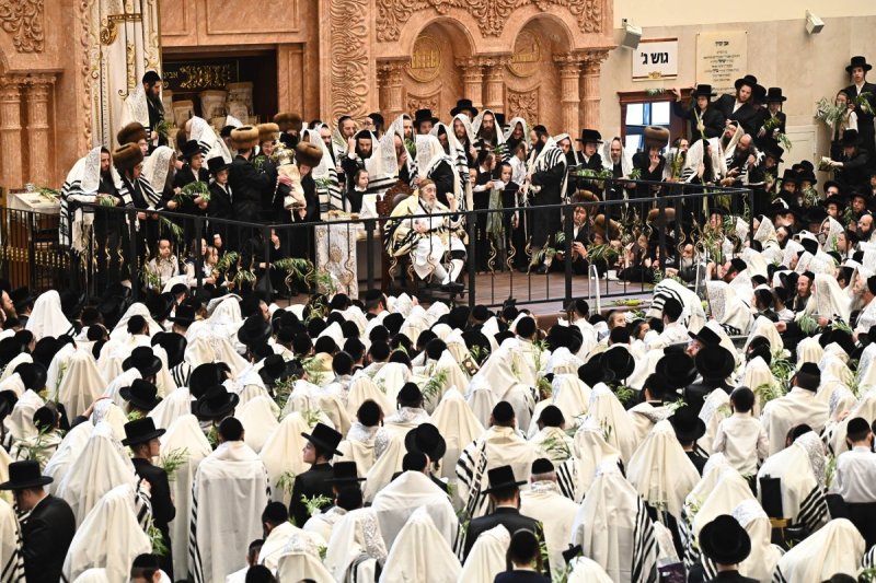 שוקי לרר