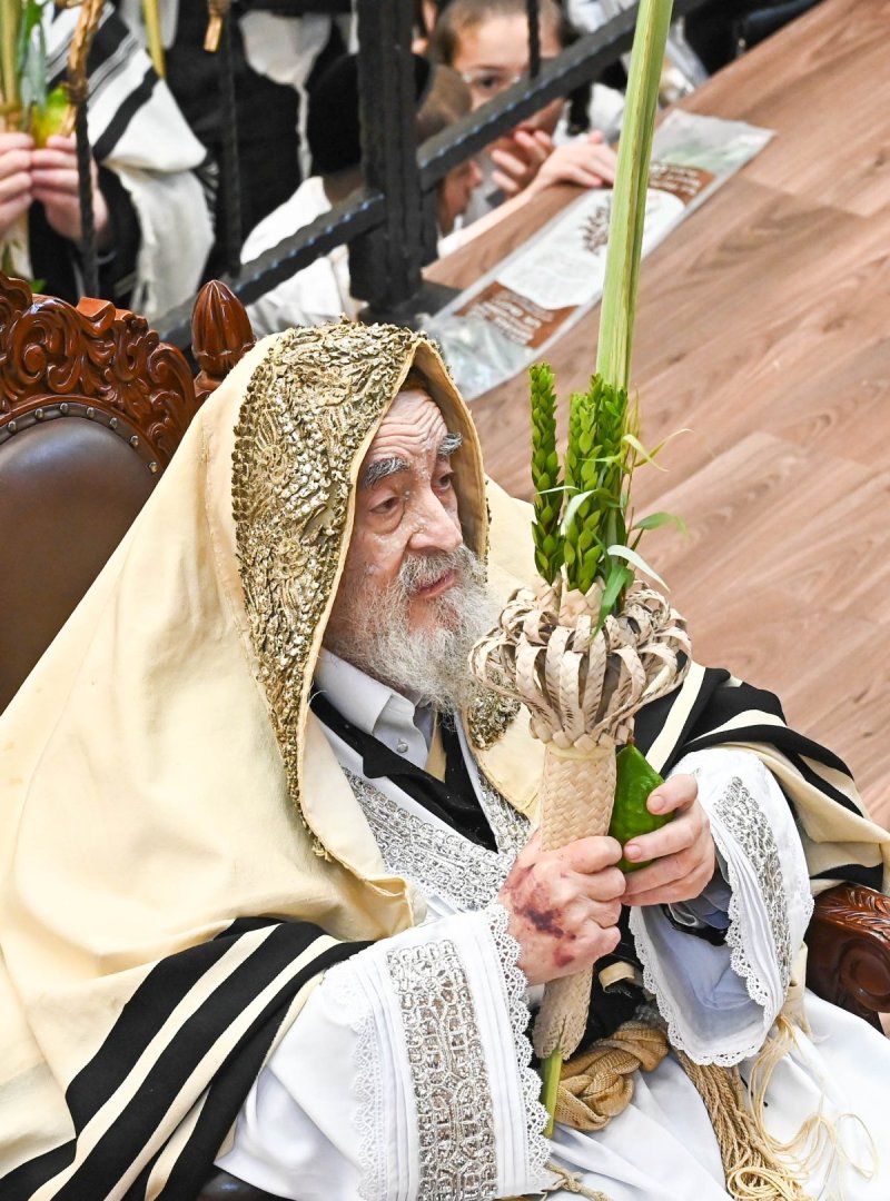שוקי לרר
