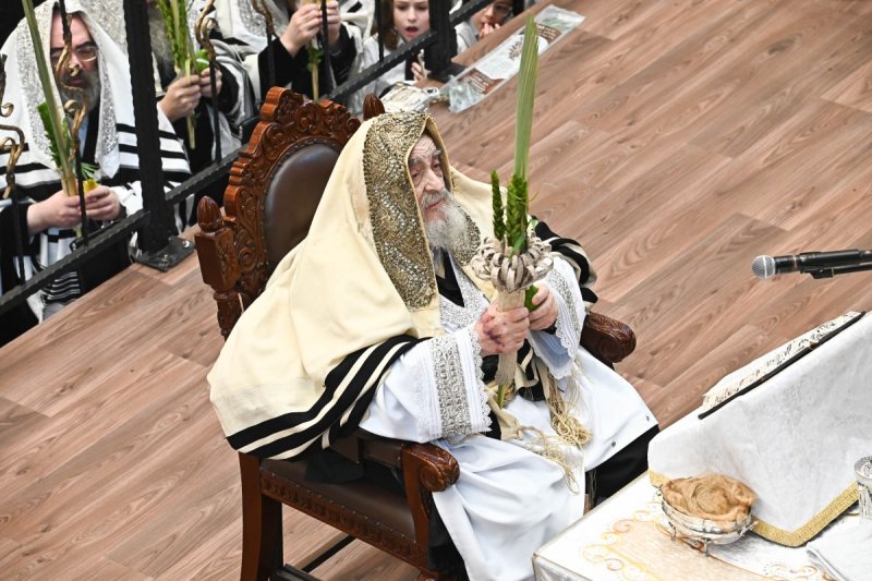 שוקי לרר