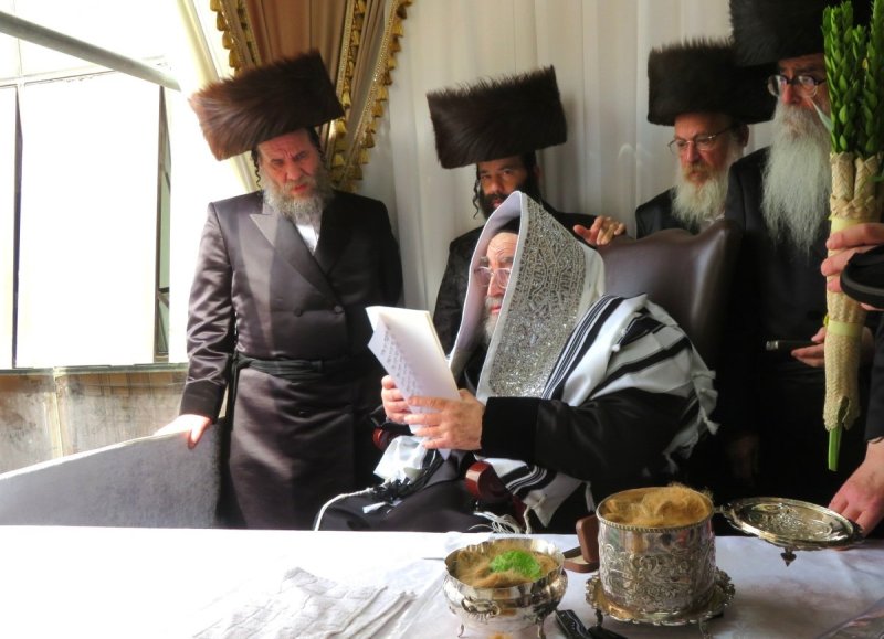 שוקי לרר