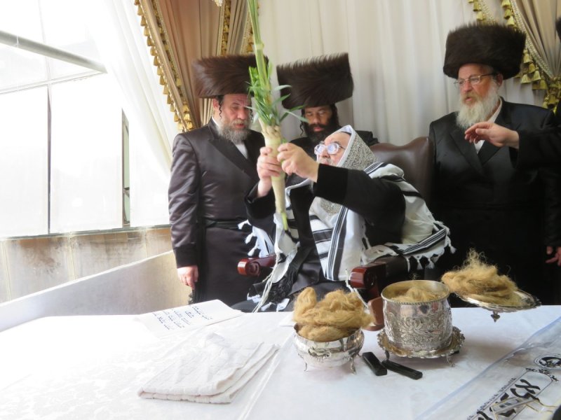 שוקי לרר