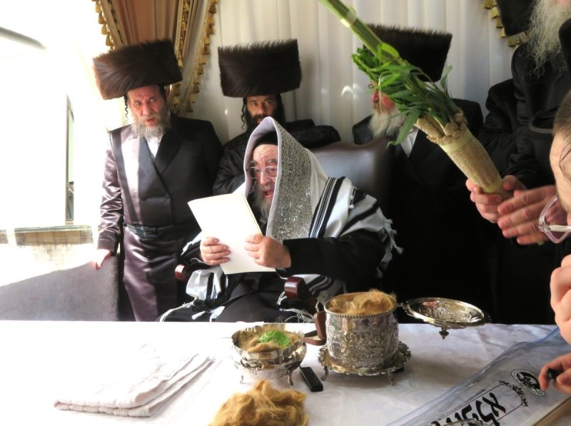 שוקי לרר