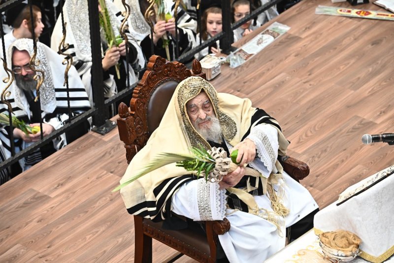 שוקי לרר
