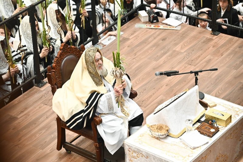 שוקי לרר