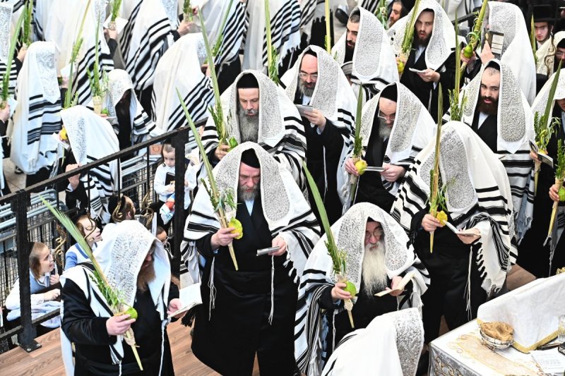 שוקי לרר