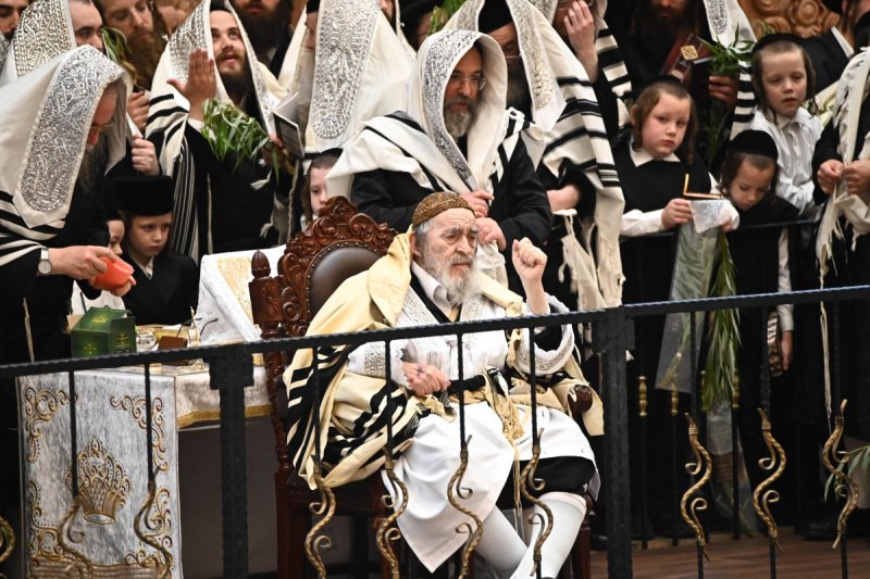 שוקי לרר